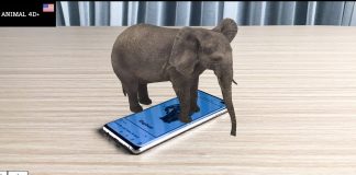 Tải Trọn Bộ Hình Animal 4D Cards Mới Nhất Có Thể In Ra Tai-hinh-anh-animal-4d-cards-download
